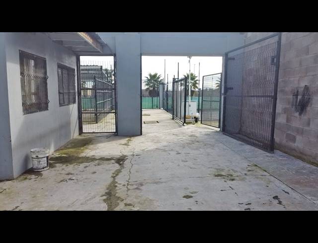 1,400M² WAREHOUSE FOR SALE IN PHILIPPI